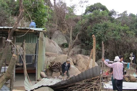 Khởi tố vụ án phá rừng tại Khu bảo tồn thiên nhiên Sơn Trà
