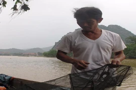 Người hùng Sông Gianh vượt lũ dữ cứu người