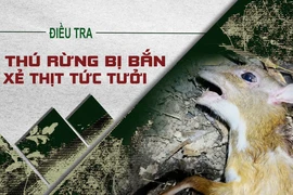 Video điều tra: Thú rừng Vườn quốc gia Cát Tiên bị bắn trộm, xẻ thịt
