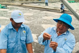 Chuyên gia về Bình Định làm việc được hỗ trợ 400 triệu đồng mua nhà