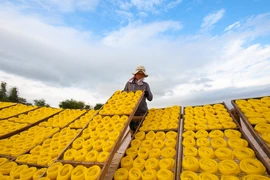 Làng nghề bún bánh An Thái dệt mùa vàng bên dòng sông Kôn