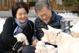Cựu Tổng thống Moon Jae-in và phu nhân đang ôm những chú chó con được sinh ra từ một cặp chó mà nhà lãnh đạo Triều Tiên Kim Jong-un tặng ông năm 2018. Ảnh: VĂN PHÒNG TỔNG THỐNG HÀN QUỐC