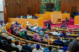 Vụ ẩu đả tại quốc hội Senegal ngày 2-11. Ảnh: AL JAZEERA