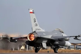 Máy bay chiến đấu phản lực F-16 của Không quân Mỹ. Ảnh: REUTERS