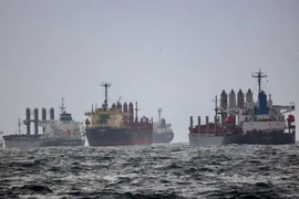 Các con tàu đang chờ kiểm tra theo Thỏa thuận ​​Ngũ cốc Biển Đen tại phía nam của eo biển Bosphorus (Thổ Nhĩ Kỳ) ngày 11-12-2022. Ảnh: REUTERS