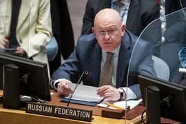 Đại sứ Nga tại LHQ - ông Vassily Nebenzia. Ảnh: AP