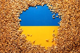 Slovakia trở thành thành viên thứ 3 của Liên minh Châu Âu (EU) cấm nhập khẩu lương thực từ Ukraine. Ảnh: REUTERS