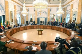Tổng thống Nga Vladimir Putin gặp gỡ các nhà lãnh đạo châu Phi tại TP St. Petersburg (Nga) ngày 17-6 . Ảnh: SPUTNIK