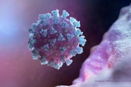 Biết gì về Eris - biến thể phụ Omicron đang lan nhanh gây lo ngại nhiều nước?