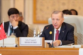 Ông Erdogan đề nghị các nước gây áp lực lên Mỹ nhằm buộc Israel ngừng bắn