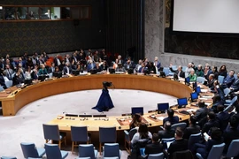 HĐBA thông qua nghị quyết kêu gọi ‘tạm ngừng nhân đạo’ trong xung đột Israel-Hamas