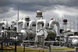 EU tính toán bước đi hạn chế nhập khí đốt Nga, Belarus