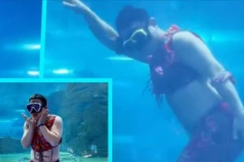 VIDEO: Hài hước màn biểu diễn của chàng tiên cá mũm mĩm giữa thủy cung