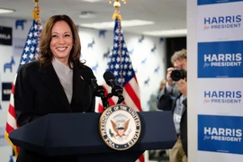 Cơ hội, thách thức của bà Harris khi đấu với ông Trump