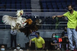 Philippines nhờ Nhật tìm kiếm thi thể hàng chục người chơi đá gà nghi bị phi tang xuống hồ