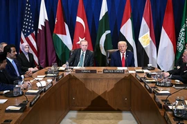 Những gì được biết về kế hoạch 21 điểm của ông Trump cho Gaza