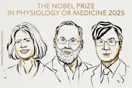 Nobel Y học 2025 vinh danh công trình về dung nạp miễn dịch ngoại biên