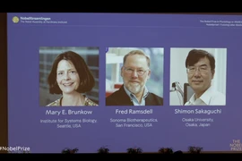 Nobel Y học 2025 gọi tên các nhà khoa học Mỹ và Nhật 