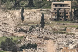 Quốc tế hoan nghênh lệnh ngừng bắn Israel-Lebanon