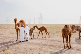 Vương quốc dầu mỏ nhỏ bé vùng Vịnh lao đao vì chiến tranh Iran
