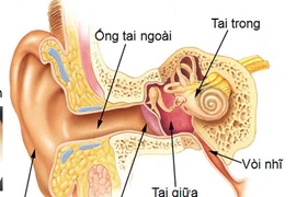 Viêm tai ngoài