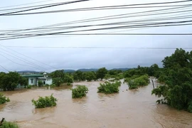 Sự cố kẹt van thủy điện Đắk Kar: Vẫn trong mức an toàn