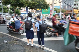 Khu vực nào ở TP.HCM được khuyến cáo quản lý tốc độ 30 km/giờ?
