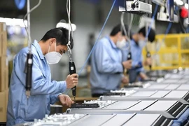 Doanh nghiệp Việt cần đẩy mạnh hợp tác với doanh nghiệp FDI. Trong ảnh: Công ty TNHH Công nghệ điện tử Chee Yuen Việt Nam, 100% vốn Đài Loan sản xuất các loại sản phẩm nhựa và linh kiện điện tử ngành máy in tại Khu công nghiệp An Dương, TP Hải Phòng. Ảnh: TTXVN