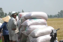Công bố ngay việc mua tạm trữ 1 triệu tấn gạo từ 15-3