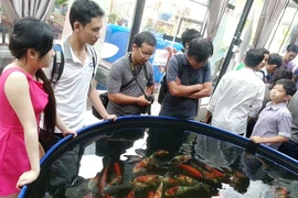 Cá “quốc ngư” bị đẩy giá tới trời