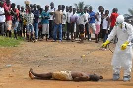 WHO nghiên cứu máu của người nhiễm Ebola sống sót