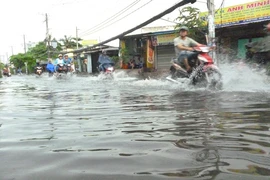 Mưa nhỏ đường TP.HCM cũng ngập
