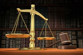 ‘Cò’ thua kiện trong vụ đòi 1 tỷ thù lao đi kiện giùm