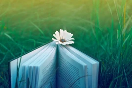 Cám ơn anh vì ngày ấy đã ruồng bỏ tôi