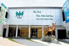 Đầu tư Bảo tàng Thiên nhiên Việt Nam theo đề nghị của Viện Hàn Lâm
