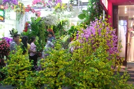 Sôi động thị trường hoa giả những ngày cuối năm