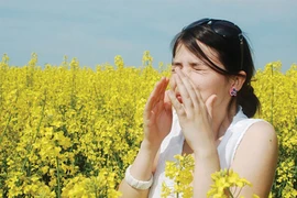 Ngăn ngừa dị ứng mùa lễ Tết