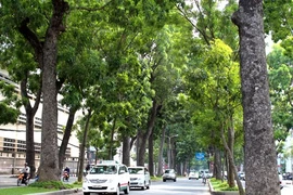Nam Bộ tiếp tục nắng nhiều đến tháng ba
