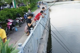 Ẩn họa khi ăn cá ở kênh ô nhiễm