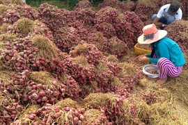 10 ký hành bán không mua được tô phở