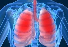 Bệnh viện tuyến tỉnh sẽ có khoa bệnh phổi nghề nghiệp