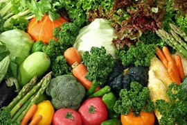 Kìm hãm quá trình lão hóa ở người cao tuổi