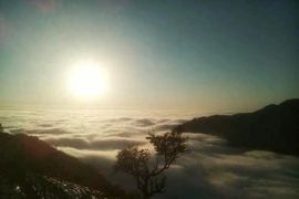 Lên Tam Đảo ‘săn’ mây