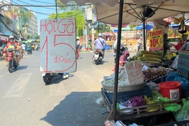 Bất ngờ trứng gà giá chỉ 15.000 đồng/chục