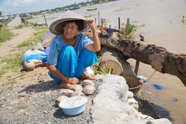 Sạt lở bờ sông Tiền, người dân trông ngóng xây kè để giữ đất