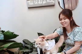 Muốn hút khách bằng thú cưng, quán cà phê cần lưu ý điều gì để tránh bị phạt?