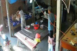 Bắt tạm giam 2 vợ chồng bạo hành mẹ già 88 tuổi