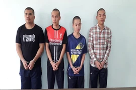 Dọa chủ nhà bằng mã tấu để cướp 15 con gà