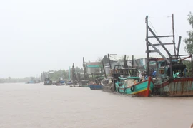 3 chủ tàu cá bị phạt 2,5 tỉ đồng 