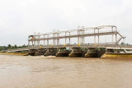 Khép kín các công trình thủy lợi ở Bến Tre